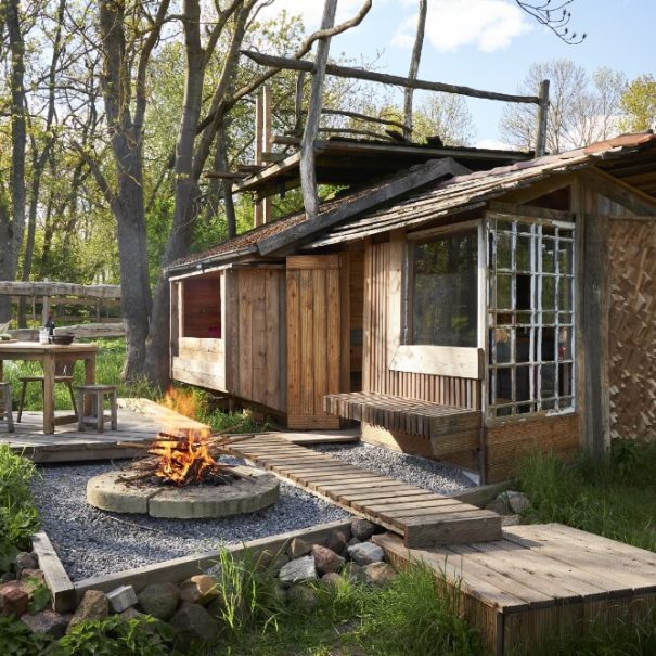 Tiny House mit Pferdeblick