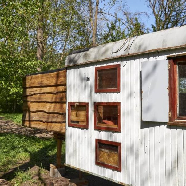 Bauwagen im Wäldchen